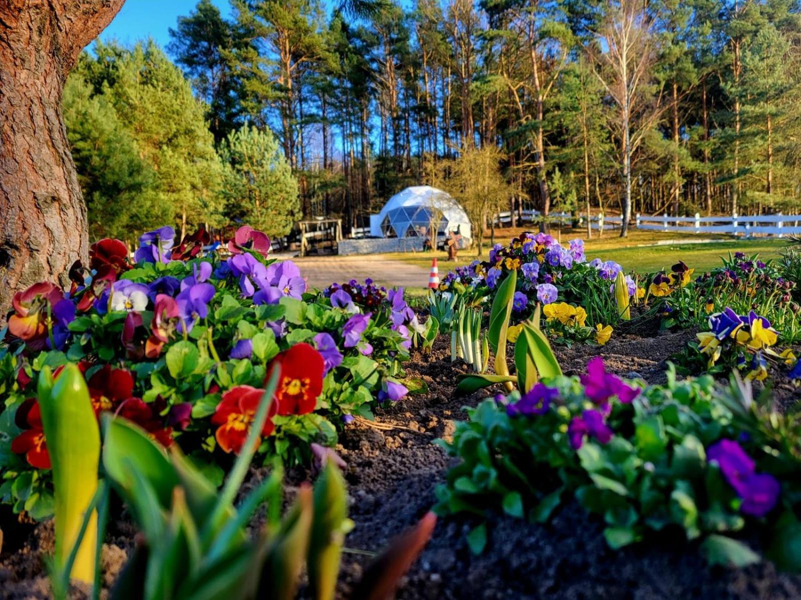 Готель Glamping Pod Orlem Cedynia Екстер'єр фото