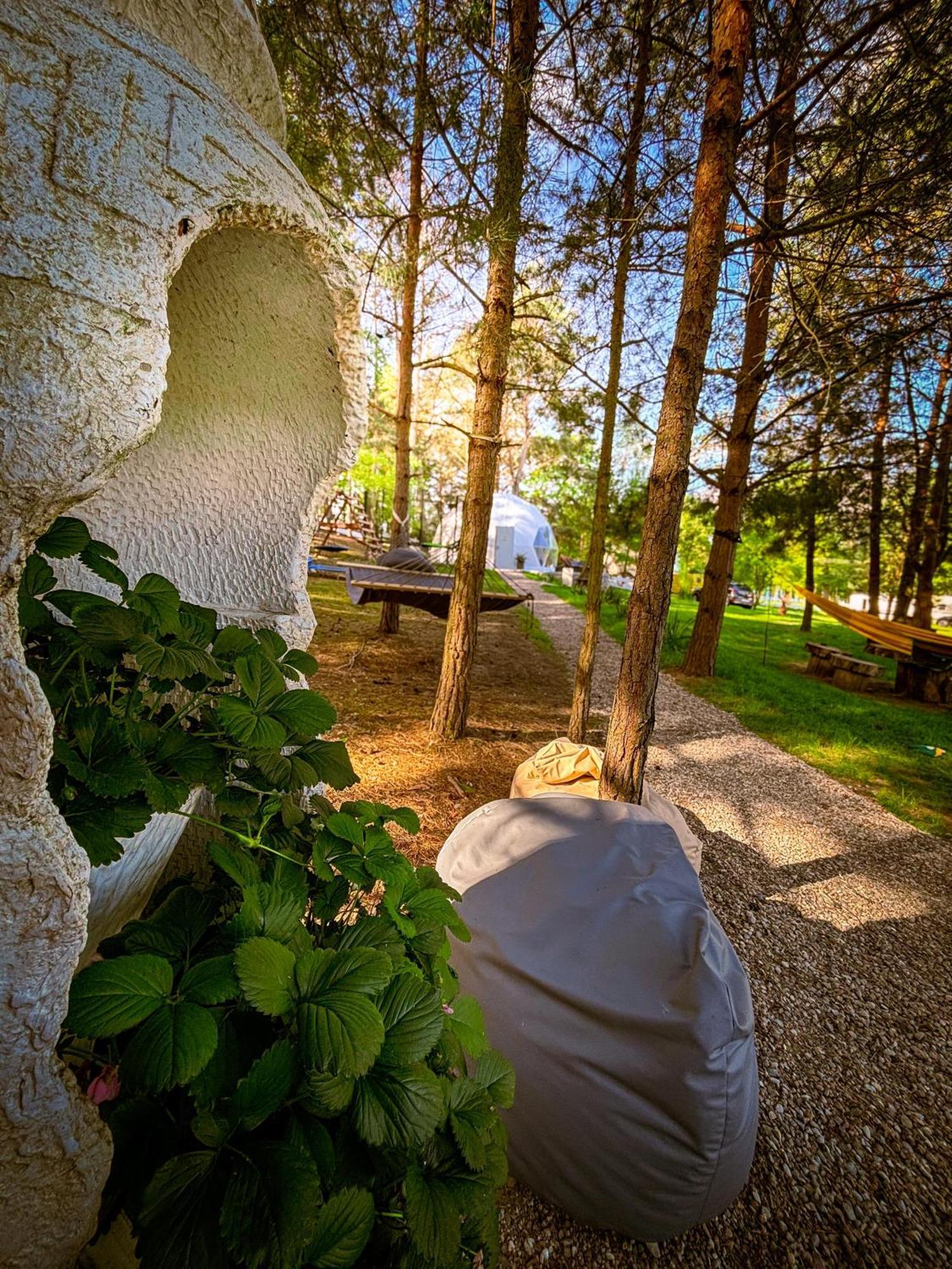 Готель Glamping Pod Orlem Cedynia Екстер'єр фото
