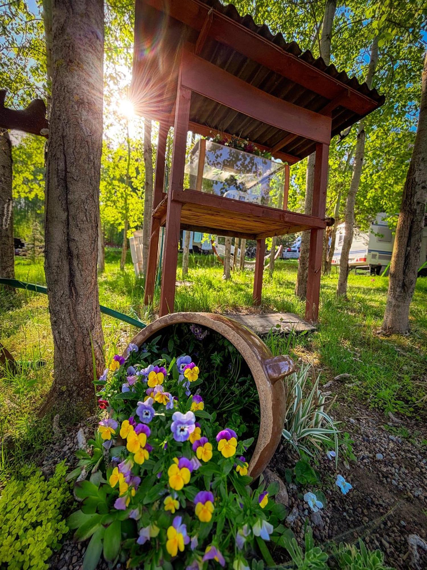 Готель Glamping Pod Orlem Cedynia Екстер'єр фото